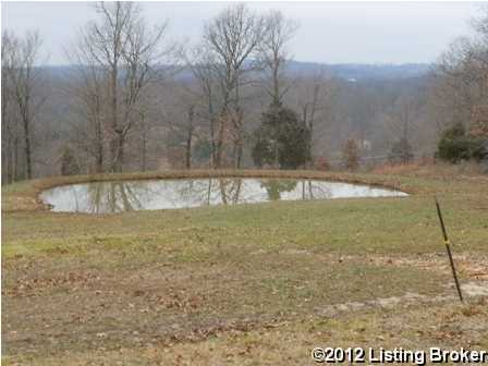 2962 Fackler Road Guston, KY 40142 - Photo 4 of 15 Additional Photo