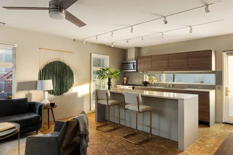 a kitchen with a potted plant on the counter and a wooden floor
