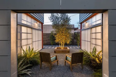 a view of a potted plants with sky view