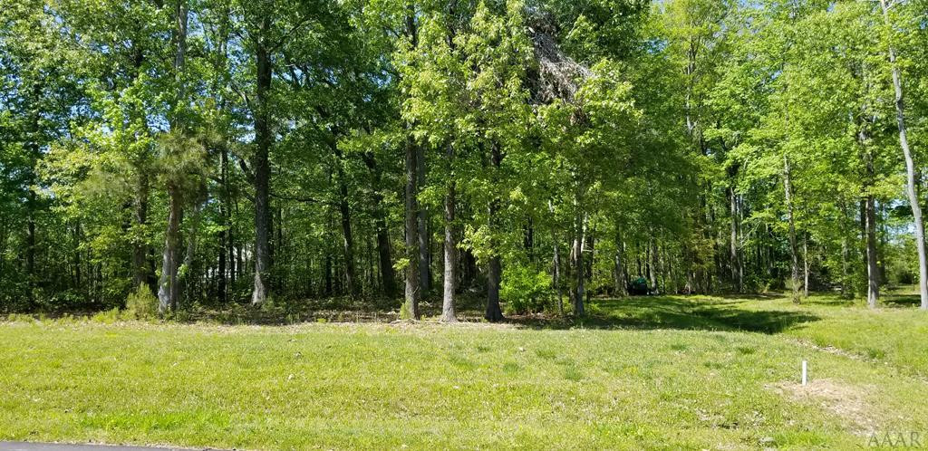 105 Bay Roads Shiloh, NC 27974 - Photo 3 of 9