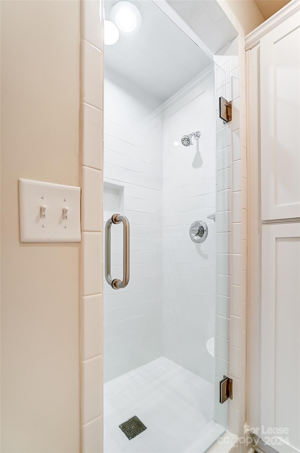 1301 Queens Road, Unit 205 Charlotte, NC 28207 - Photo 21 of 23 a bathroom with a shower