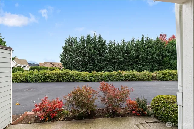 a view of a garden with a lot of flower plants and wooden fence