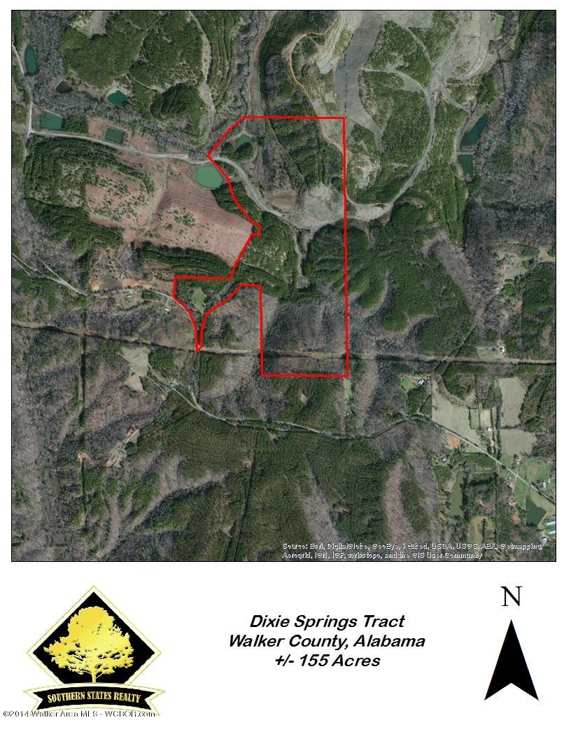 Dixie Springs Road Oakman, AL 35579 - Photo 1 of 2 Gallery Image 1