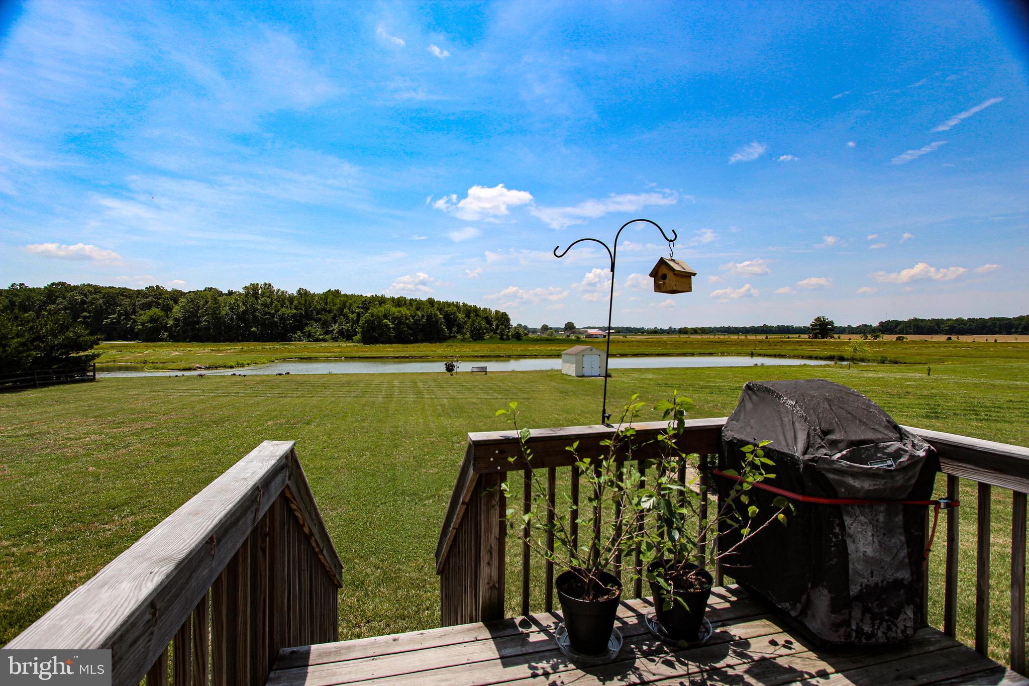 209 Riding Path Drive Clayton, DE 19938 - Photo 4 of 44