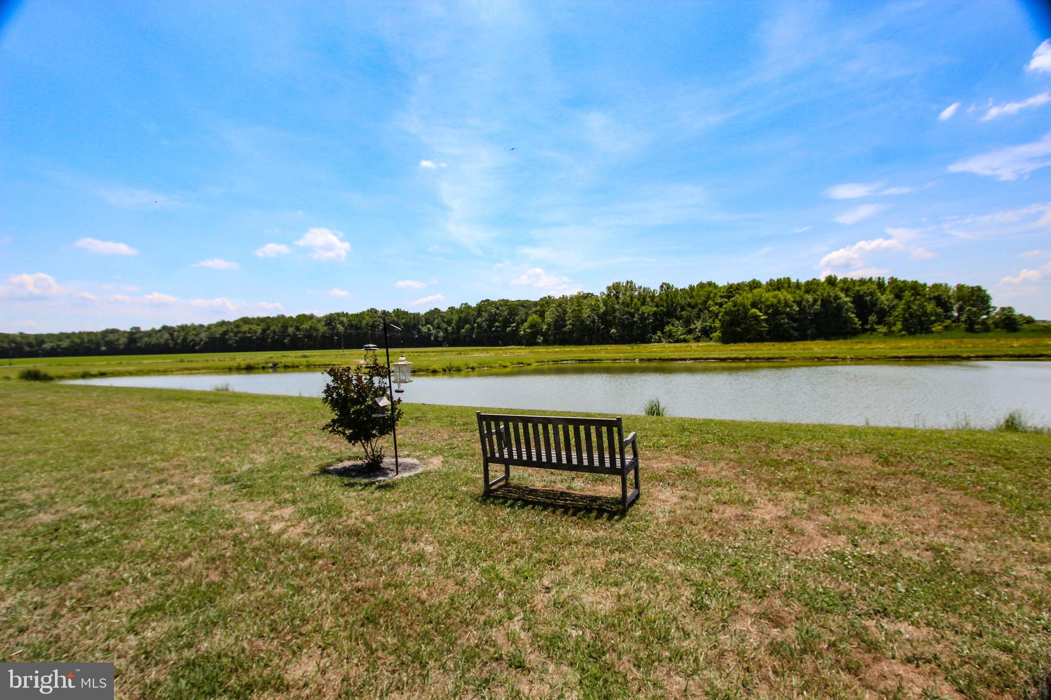 209 Riding Path Drive Clayton, DE 19938 - Photo 6 of 44