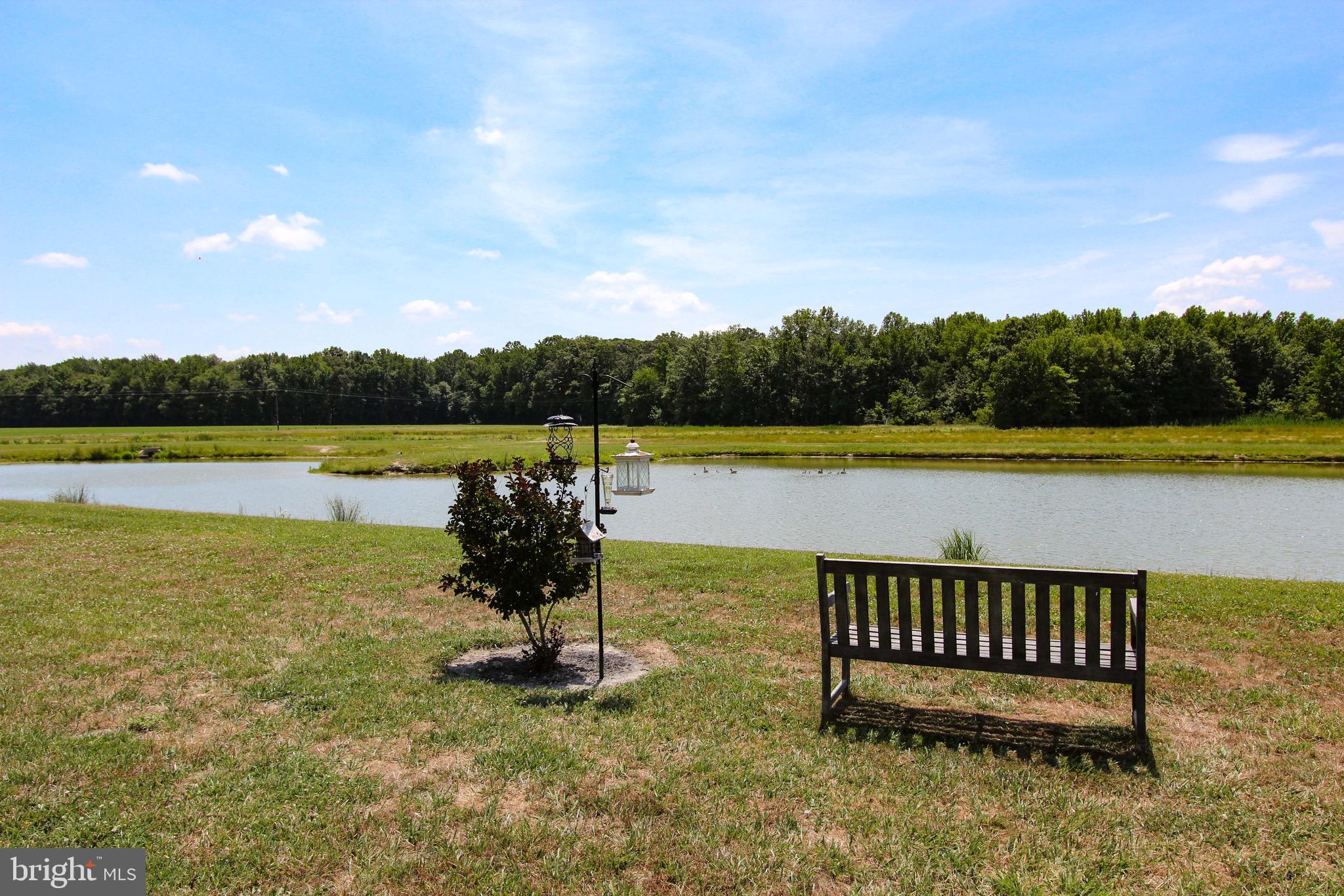 209 Riding Path Drive Clayton, DE 19938 - Photo 7 of 44