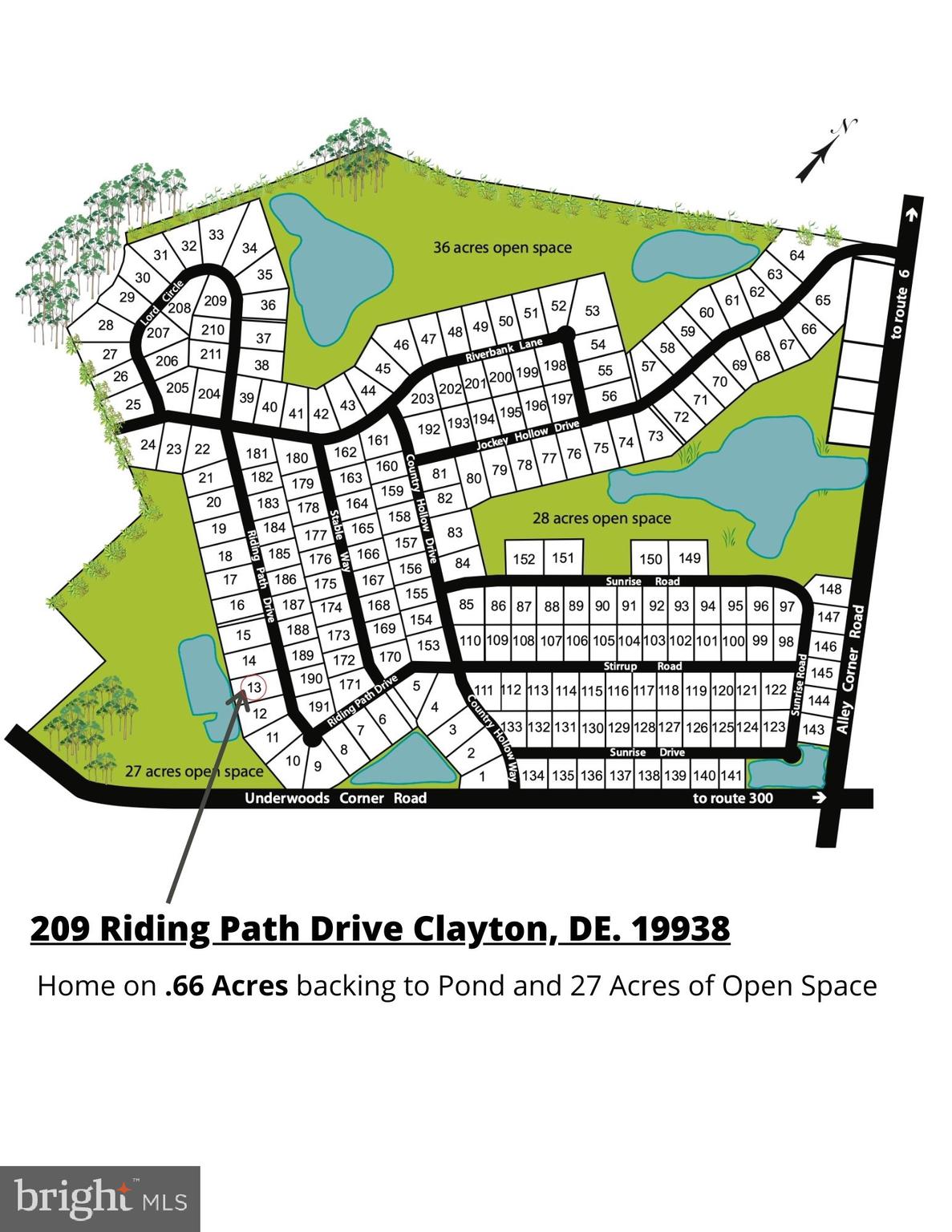 209 Riding Path Drive Clayton, DE 19938 - Photo 9 of 44