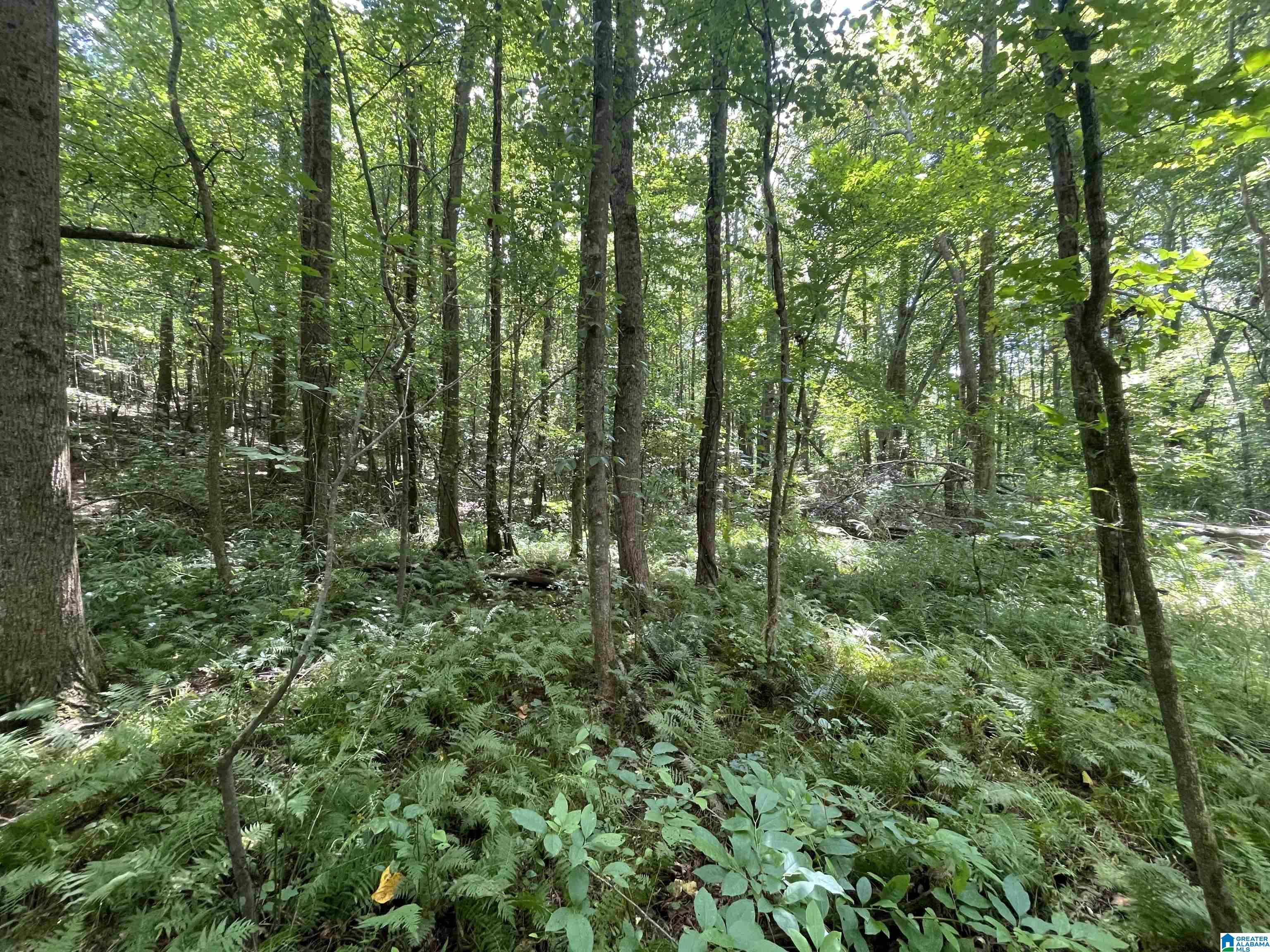 0 County Road 689, Unit 1 Ranburne, AL 36273 - Photo 39 of 69