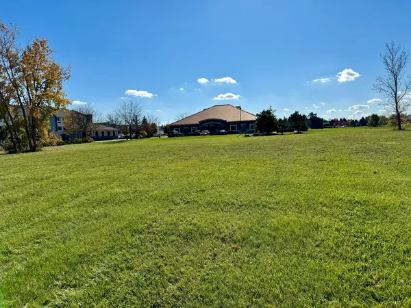 a view of a large green field with an tree in the background