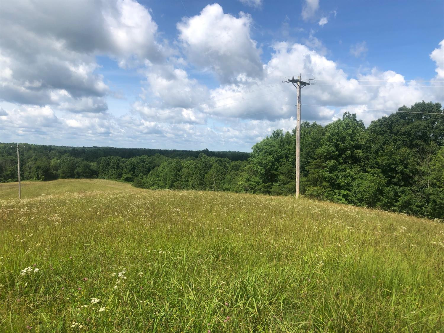 2127 Tarr Ridge Road Frenchburg, KY 40322 - Photo 31 of 34 Listing Photo