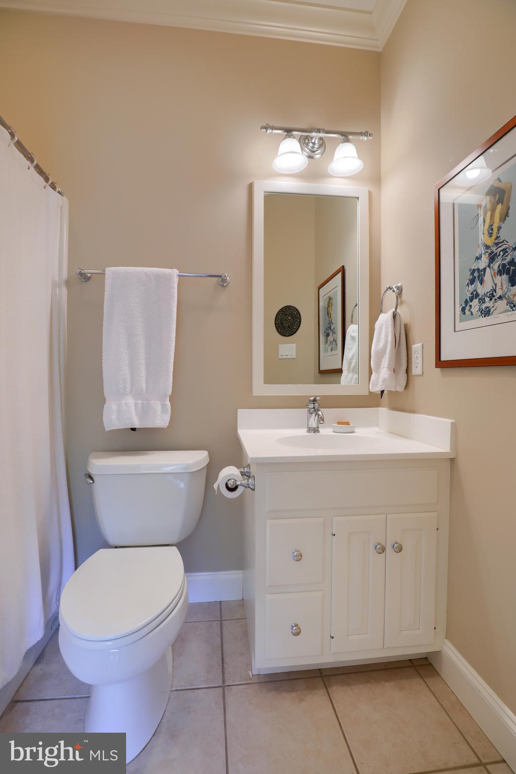 756 Goose Neck Drive Lititz, PA 17543 - Photo 61 of 80 Gallery Image 61