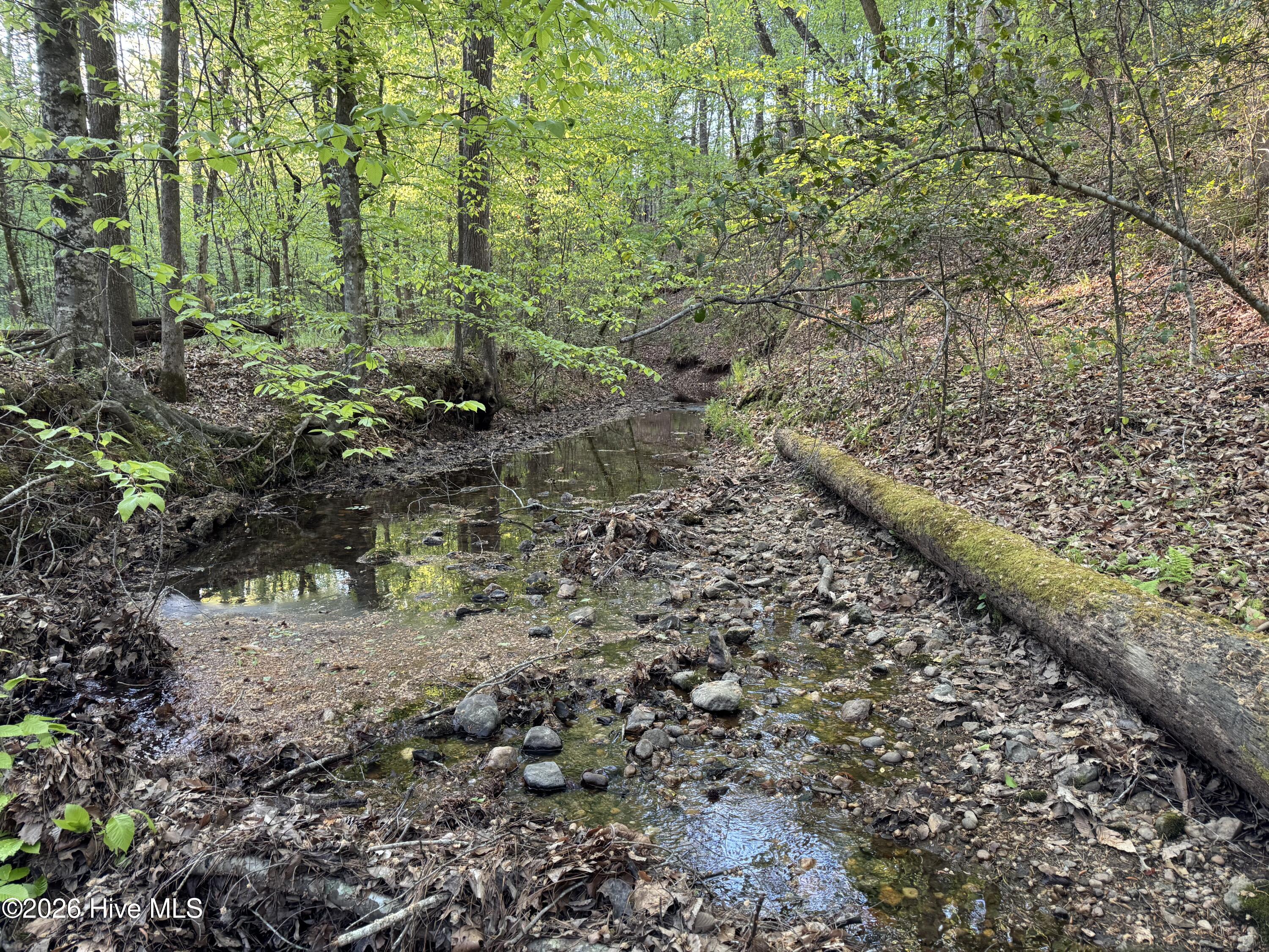0 Cartledge Creek Road Rockingham, NC 28379 - Photo 16 of 32 Cartledge Creek