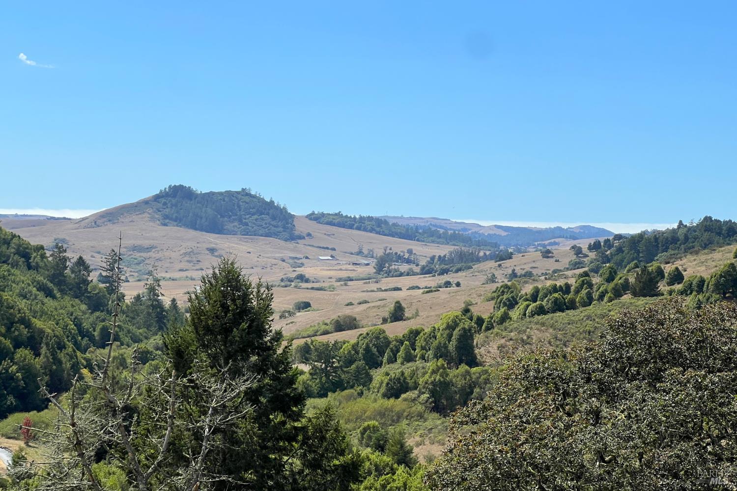 10635 Barnett Valley Road Sebastopol, CA 95472 - Photo 49 of 49 Beautiful Freestone Valley Views