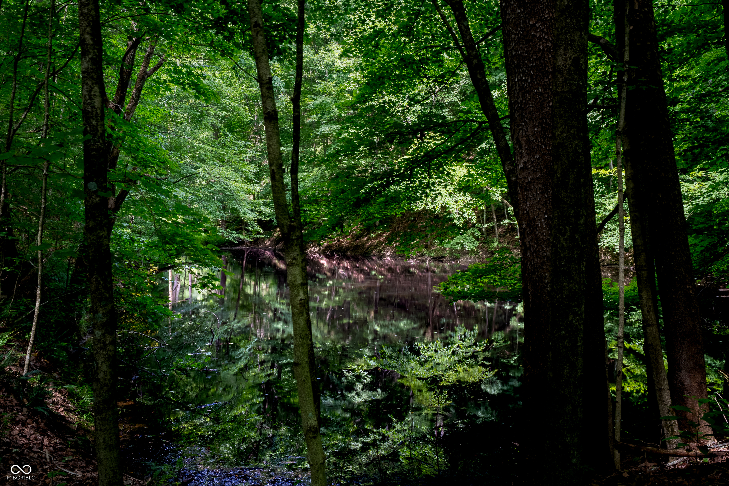 0 Salt Creek Road Nashville, IN 47448 - Photo 16 of 17