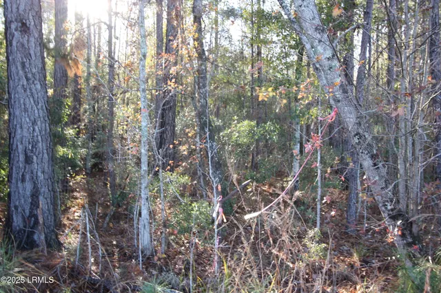 $22,500 | Tbd Tbd Main Or Walterboro Highway North, Unit 63, Varnville, SC 29944