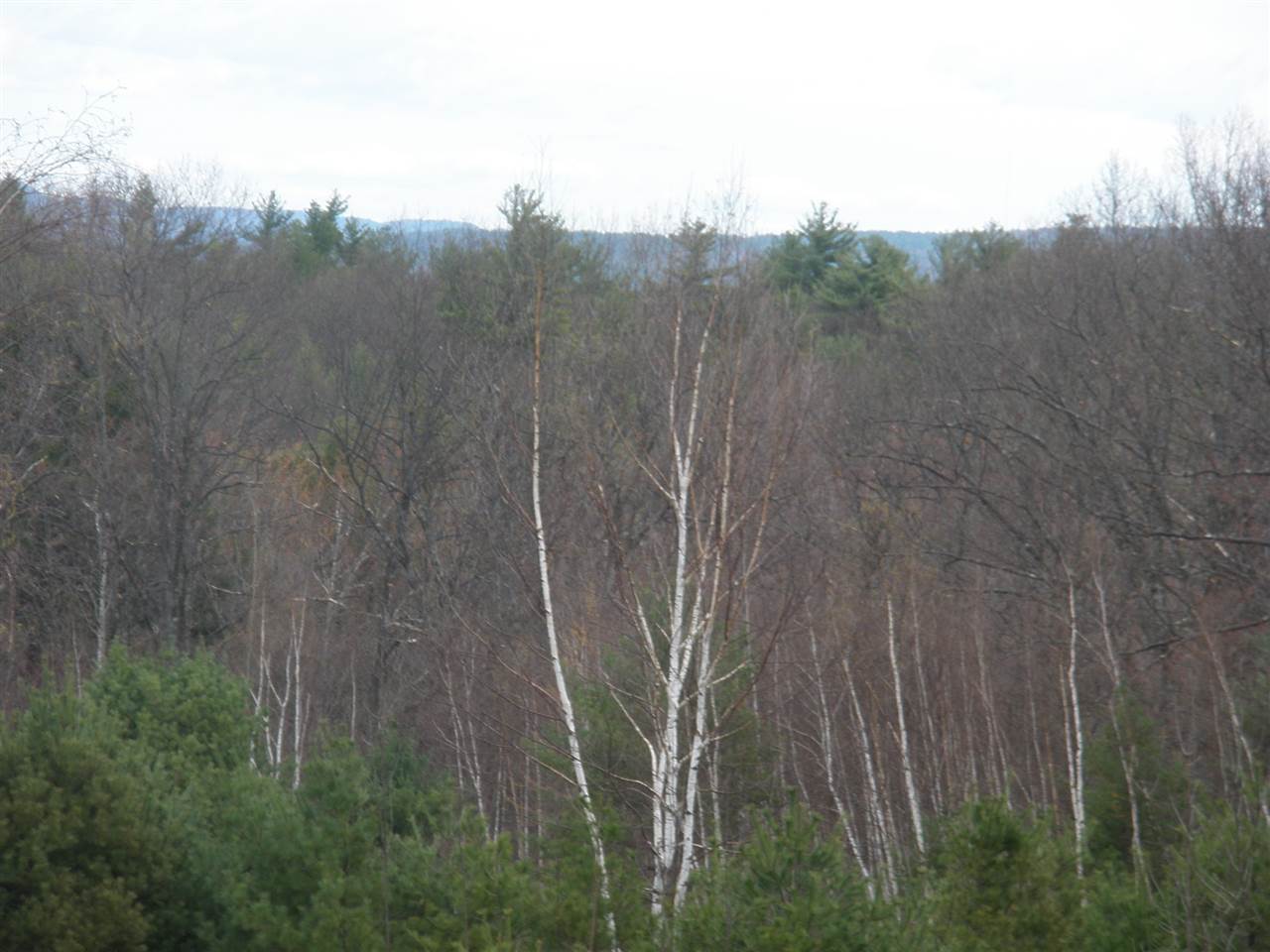 147 Circuit Road Ossipee, NH 03864 - Photo 6 of 22