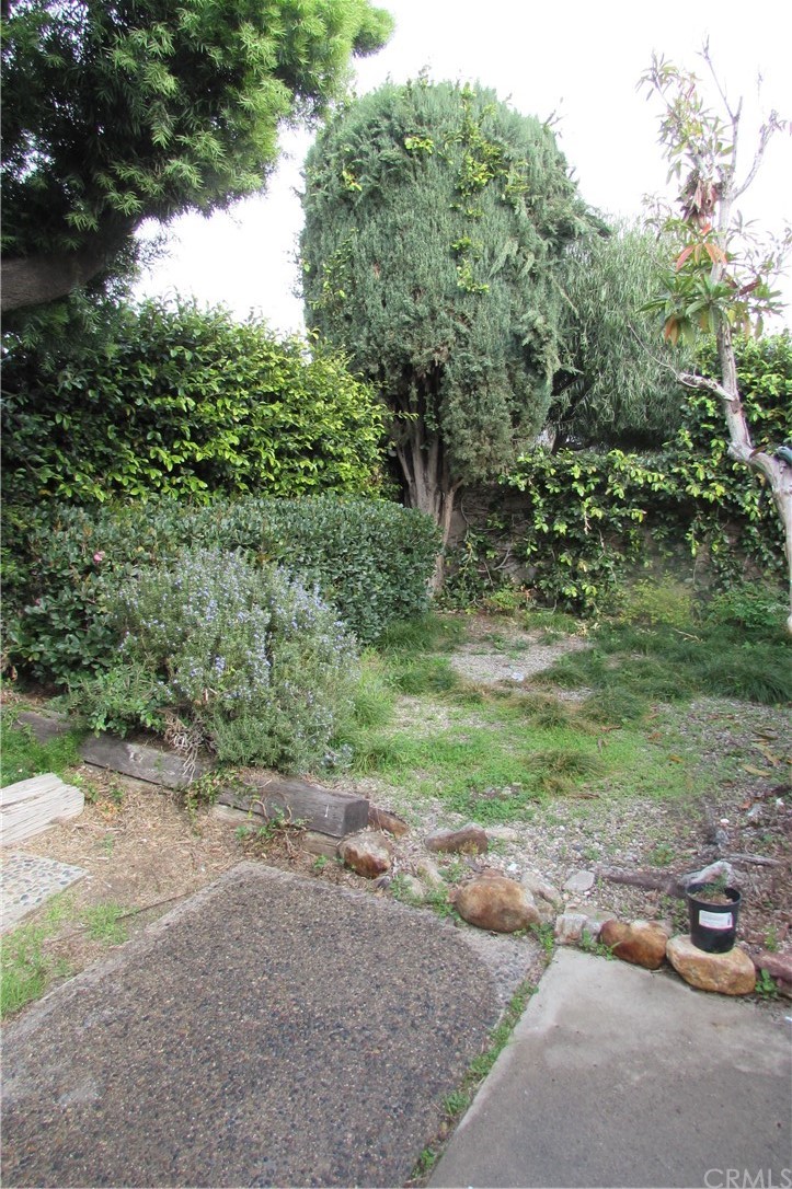 4413 Via Majorca Cypress, CA 90630 - Photo 37 of 46 a view of a yard with a tree