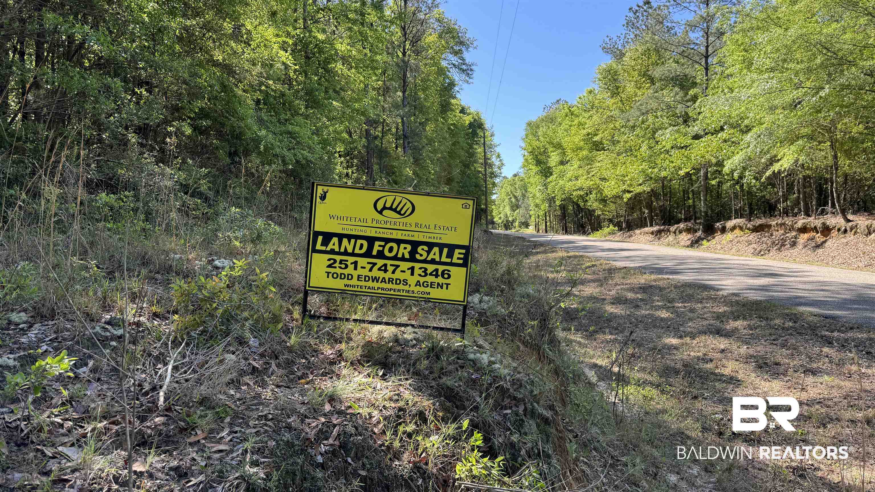 0 Eddie Jackson Road Brewton, AL 36426 - Photo 18 of 18