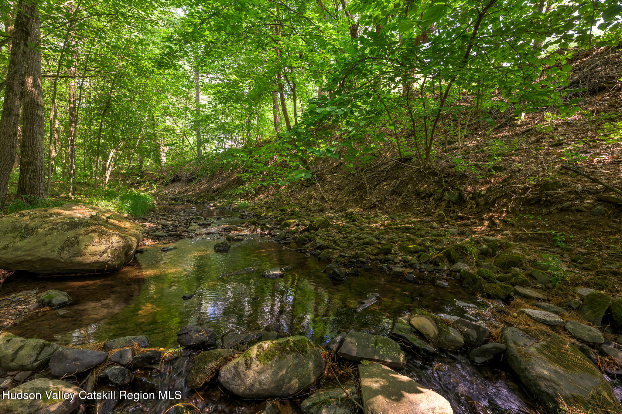 10 7 Bridges Road Old Chatham, NY 12136 - Photo 42 of 42 a view of a backyard of the house