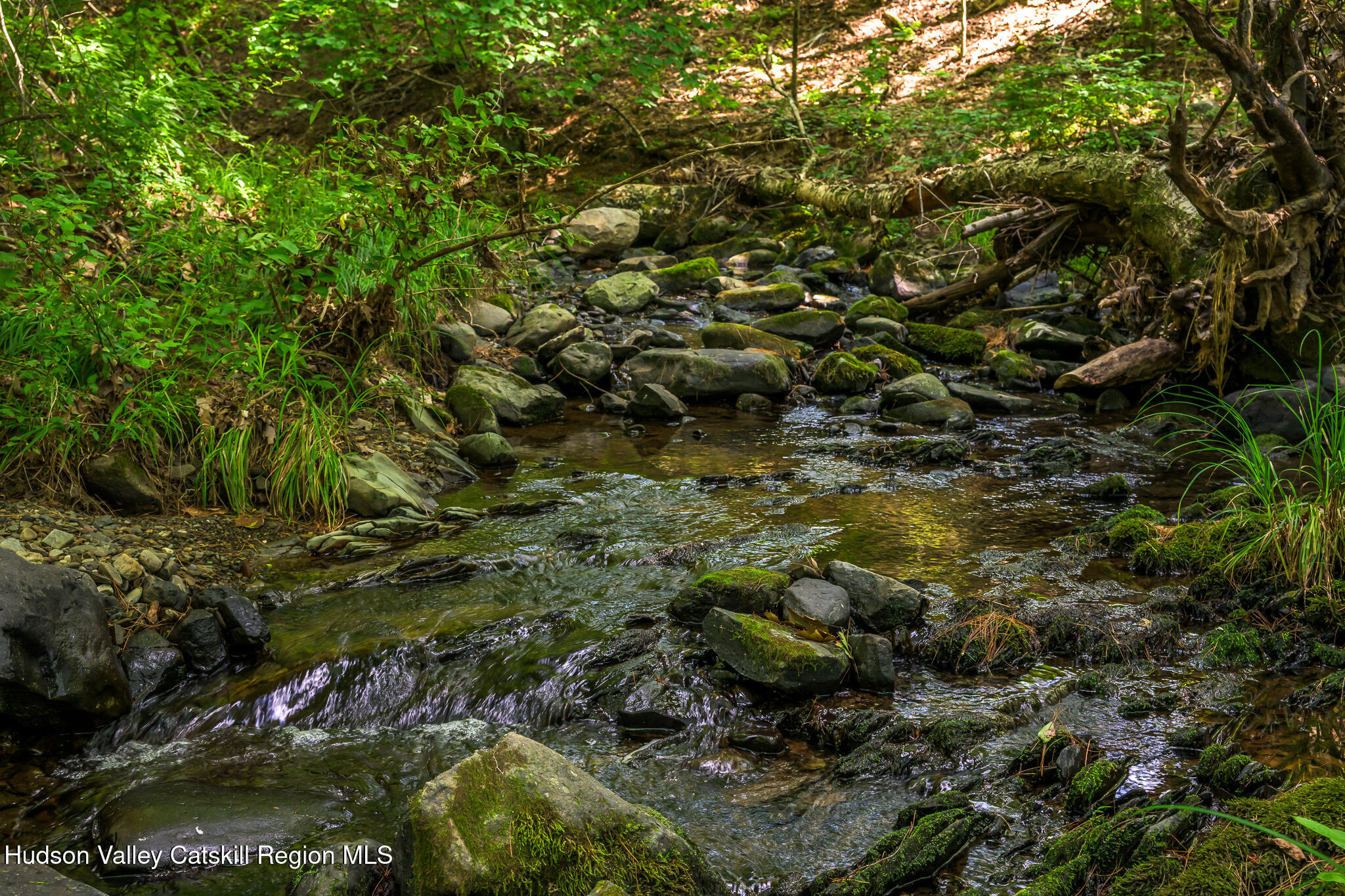 10 7 Bridges Road Old Chatham, NY 12136 - Photo 9 of 42 a view of a forest