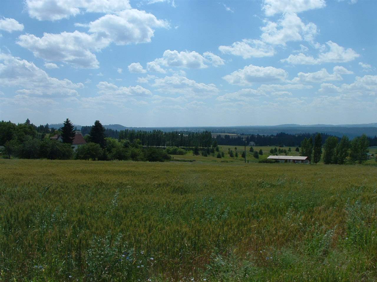8107 South Hilby Road Spokane, WA 99223 - Photo 11 of 14