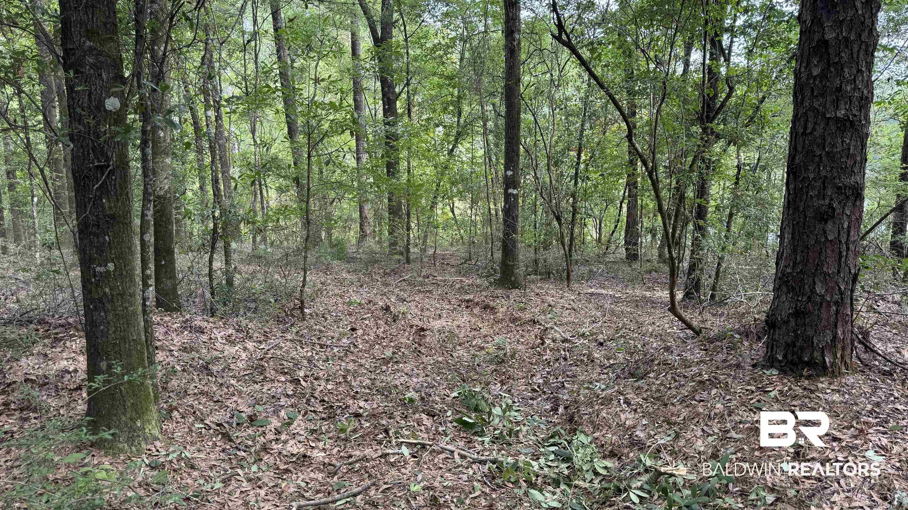 0 US Highway 98 Semmes, AL 36575 - Photo 10 of 24