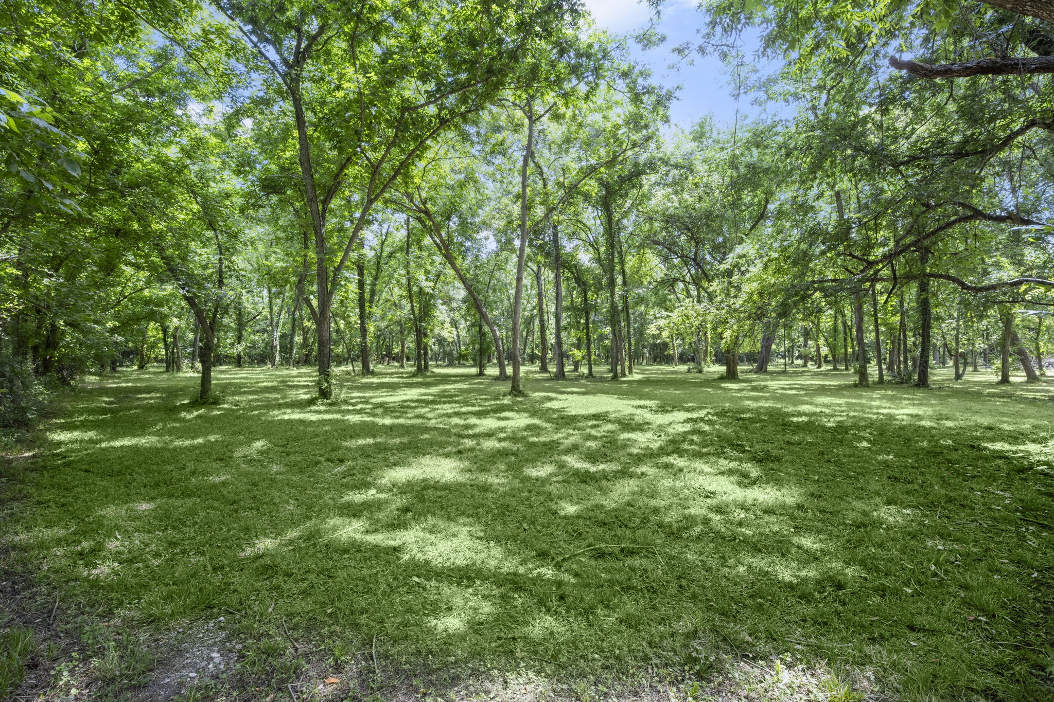 5298 Circle View Montgomery, TX 77316 - Photo 35 of 36