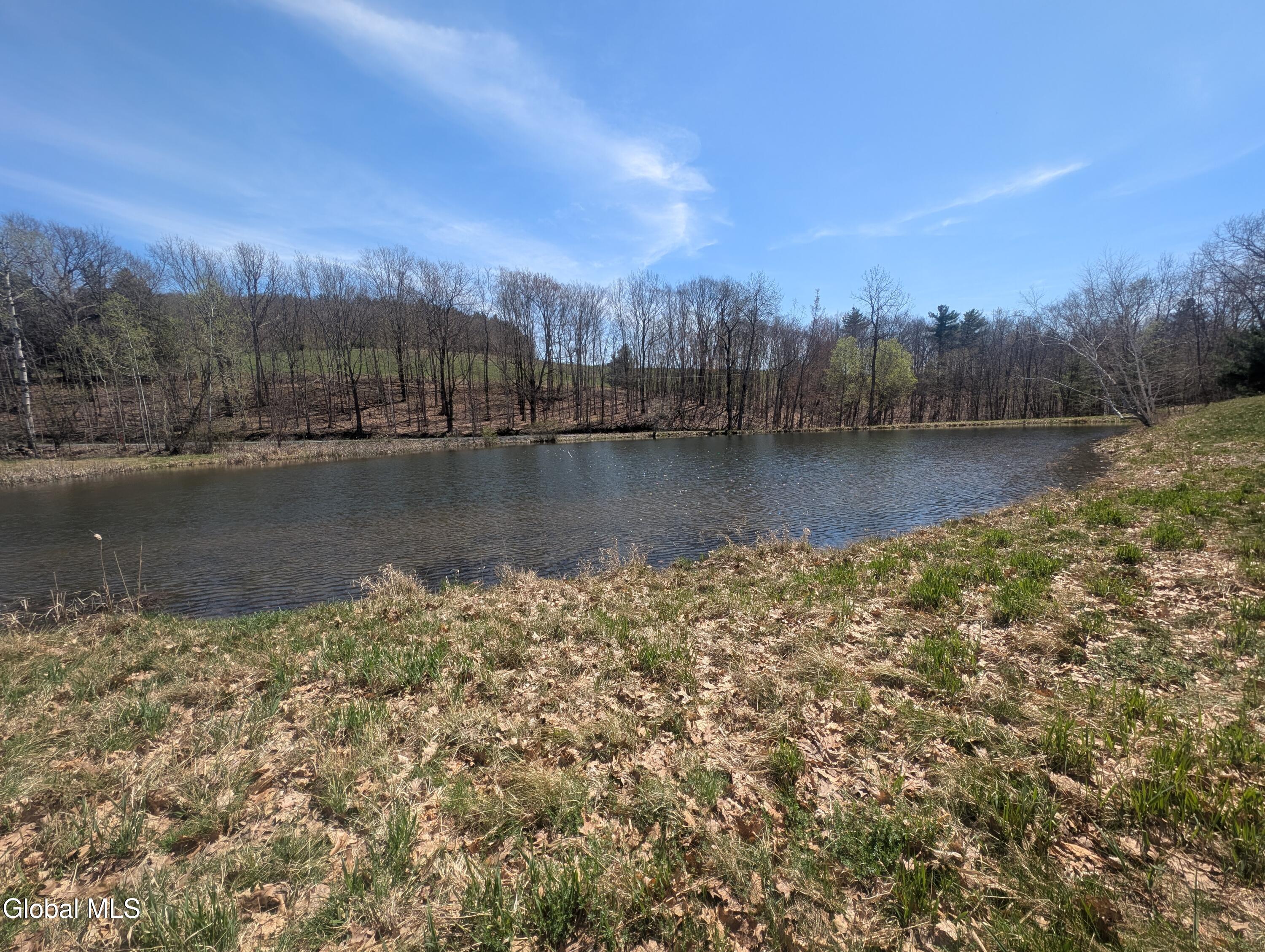 83 Mitchell Road Hoosick, NY 12090 - Photo 9 of 16 1000018046