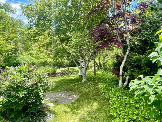 a view of a lake with a yard