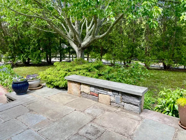 a view of a garden with potted plants and large trees