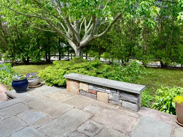 a view of a garden with potted plants and large trees