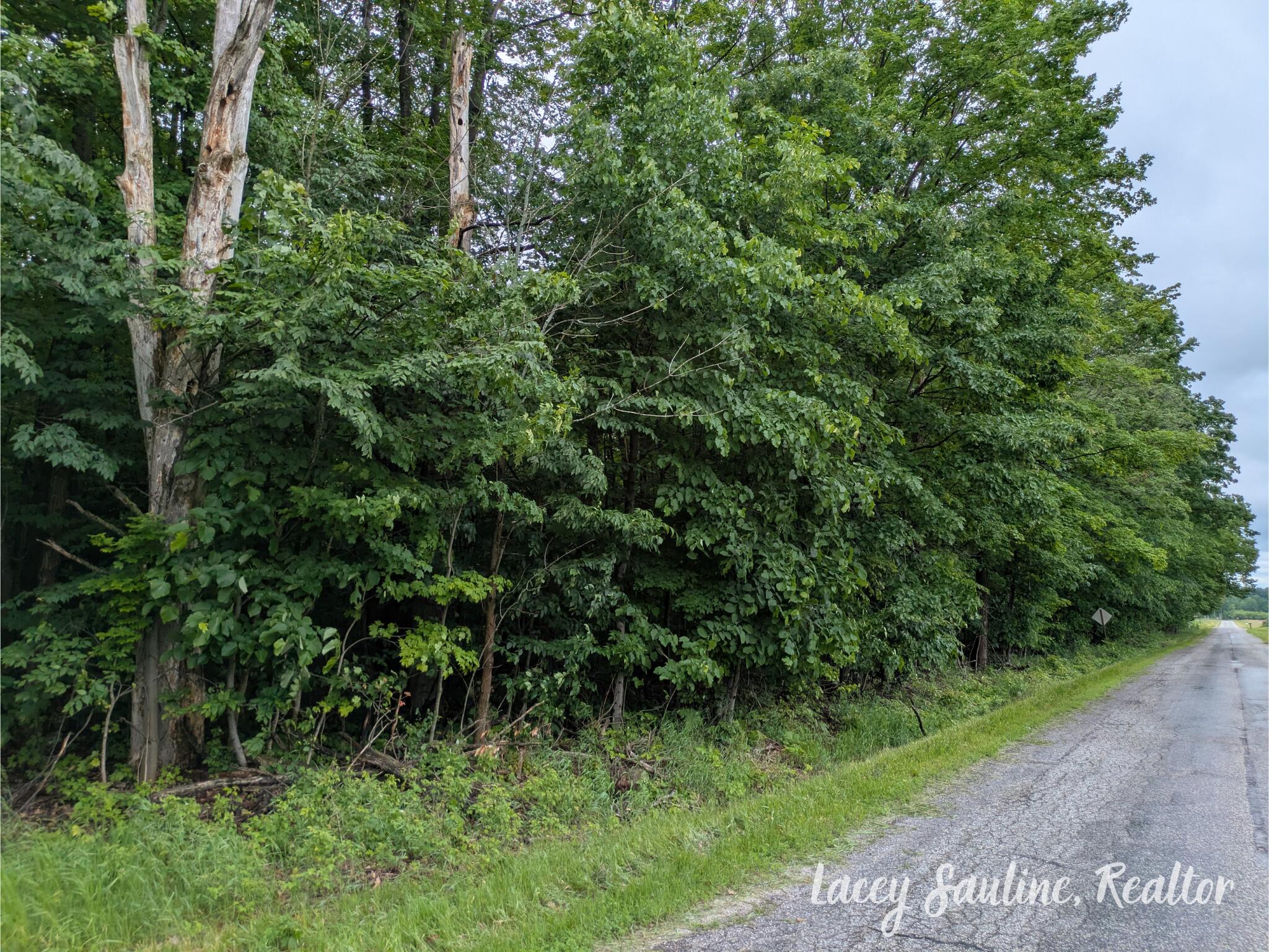 West Finkle Road Cadillac, MI 49601 - Photo 14 of 21 Lacey Sauline (1)