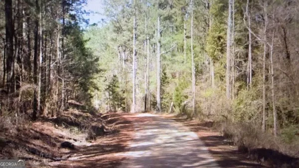 $199,999 | 0 Wadley Street, Greenville, GA 30222