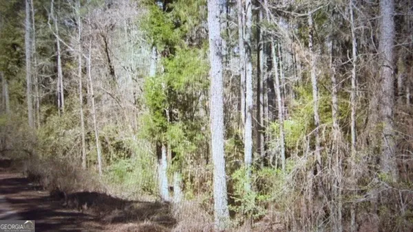 $199,999 | 0 Wadley Street, Greenville, GA 30222