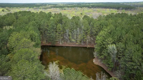 $199,999 | 0 Wadley Street, Greenville, GA 30222