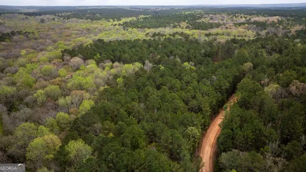 $199,999 | 0 Wadley Street, Greenville, GA 30222