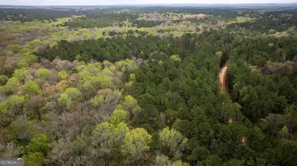 $199,999 | 0 Wadley Street, Greenville, GA 30222