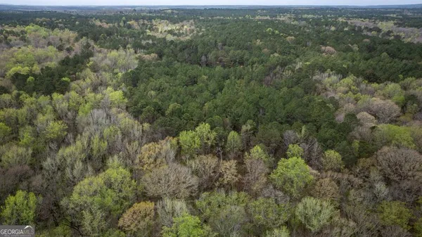 $199,999 | 0 Wadley Street, Greenville, GA 30222