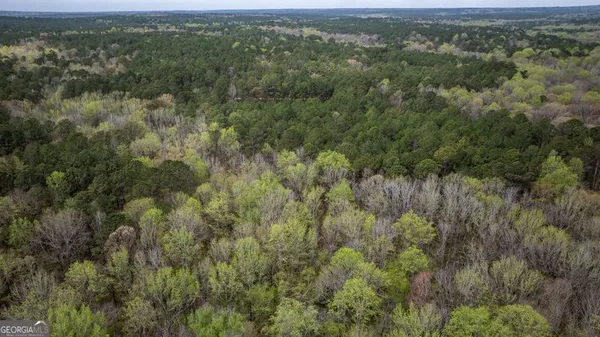 $199,999 | 0 Wadley Street, Greenville, GA 30222