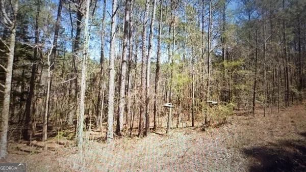 $199,999 | 0 Wadley Street, Greenville, GA 30222