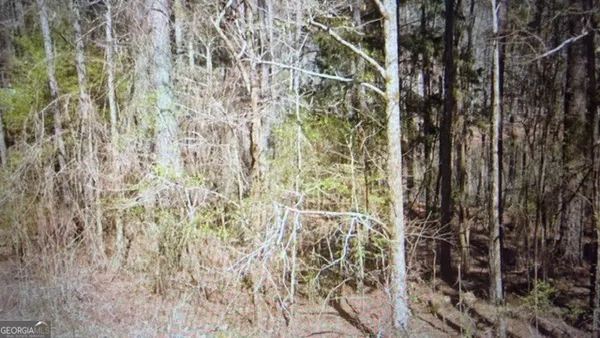 $199,999 | 0 Wadley Street, Greenville, GA 30222