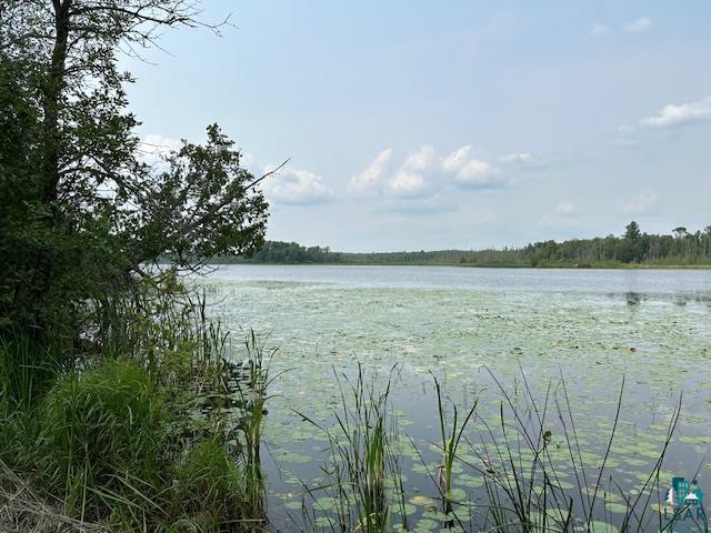 Tbd Jola Road Eveleth, MN 55734 - Photo 3 of 12 Water view