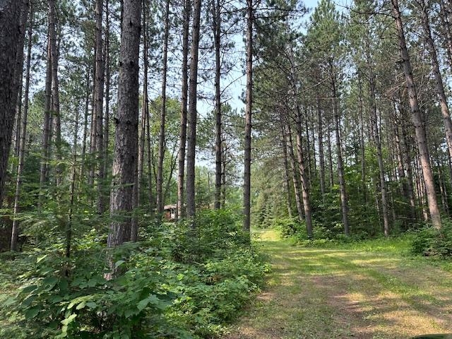 Tbd Jola Road Eveleth, MN 55734 - Photo 6 of 12 View of wooded area