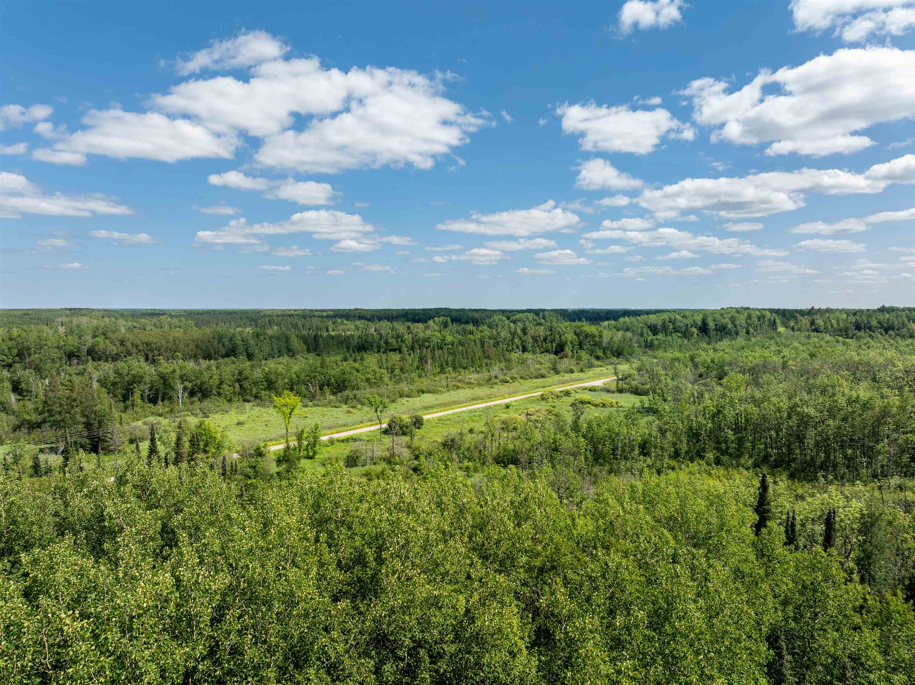 Tbd Jola Road Eveleth, MN 55734 - Photo 10 of 12 Bird's eye view of a forest