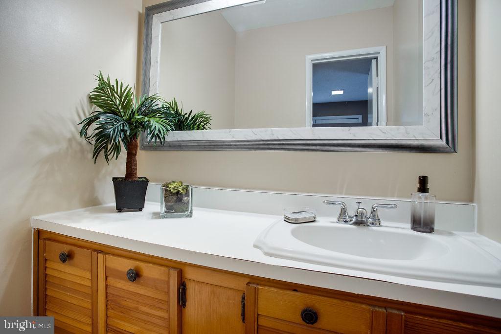 2213 White Cornus Lane Reston, VA 20191 - Photo 21 of 25 Main Level Bathroom