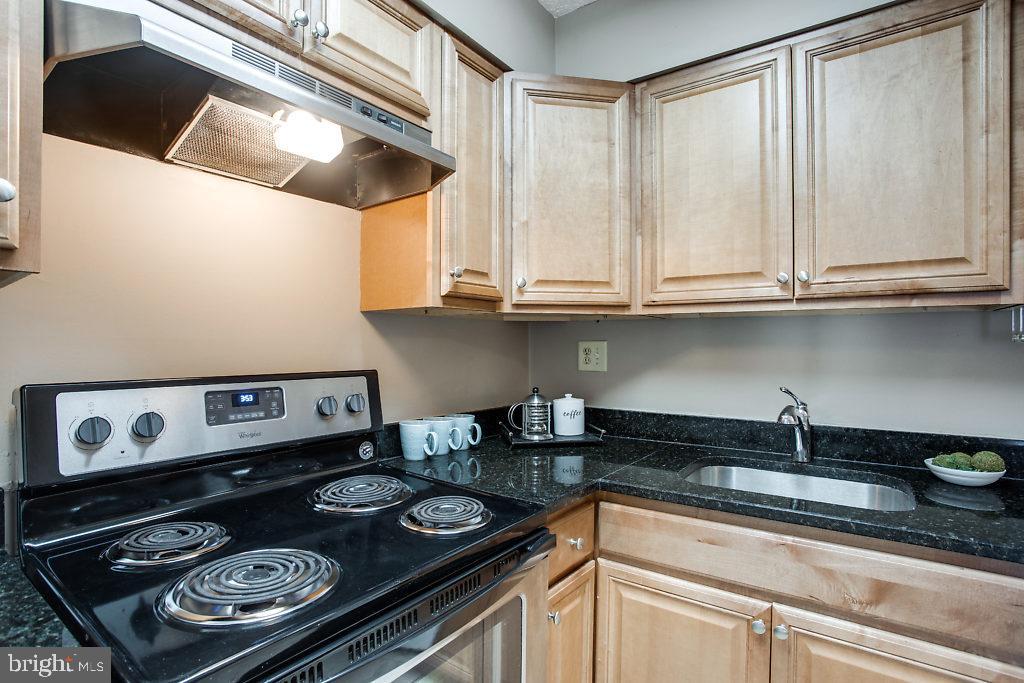 2213 White Cornus Lane Reston, VA 20191 - Photo 10 of 25 Kitchen