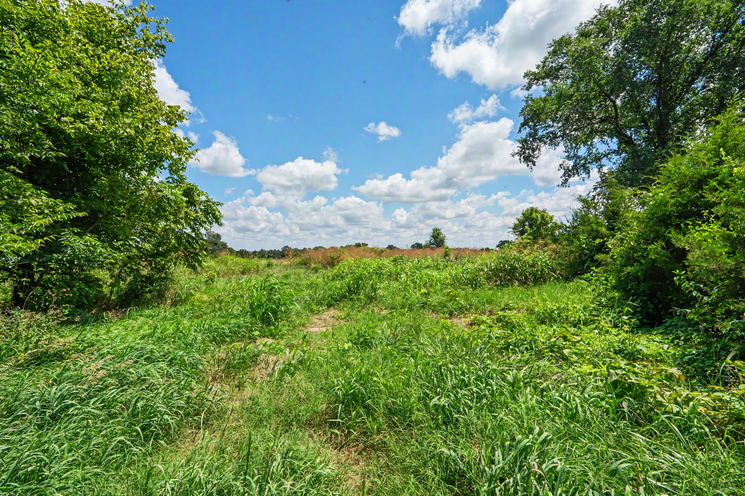 1114 Vermule Road Billings, MO 65610 - Photo 47 of 62 25_1114 Vermule Rd