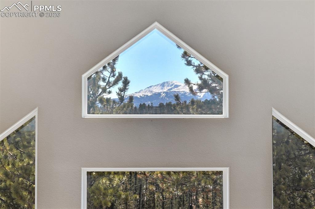 216 Ridge Road Divide, CO 80814 - Photo 27 of 47