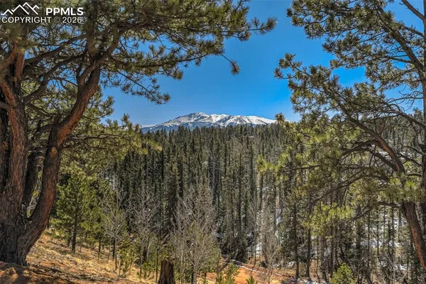 $799,995 | 216 Ridge Road, Divide, CO 80814