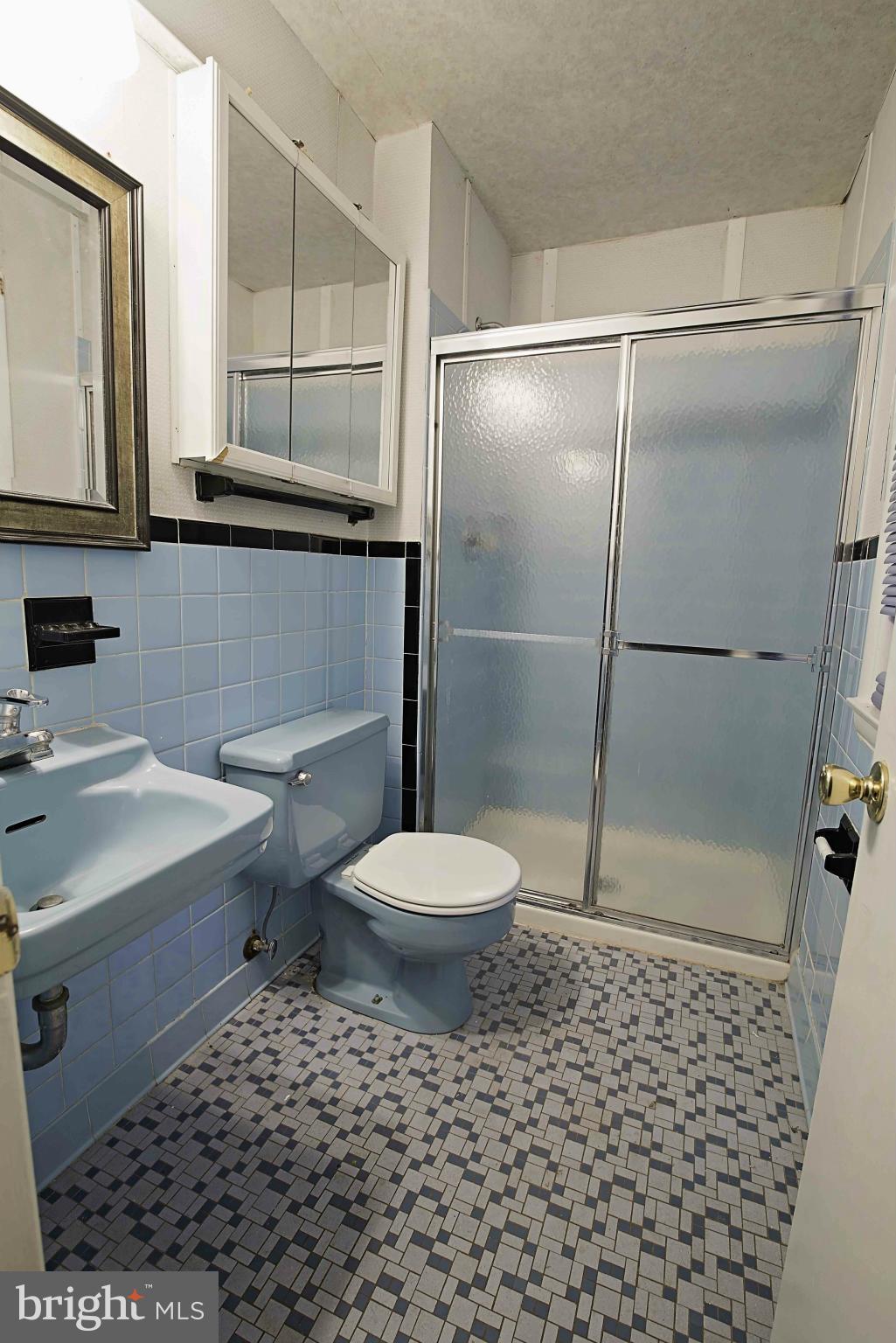 6820 Nashville Road Hyattsville, MD 20784 - Photo 8 of 15 Bath (Master)